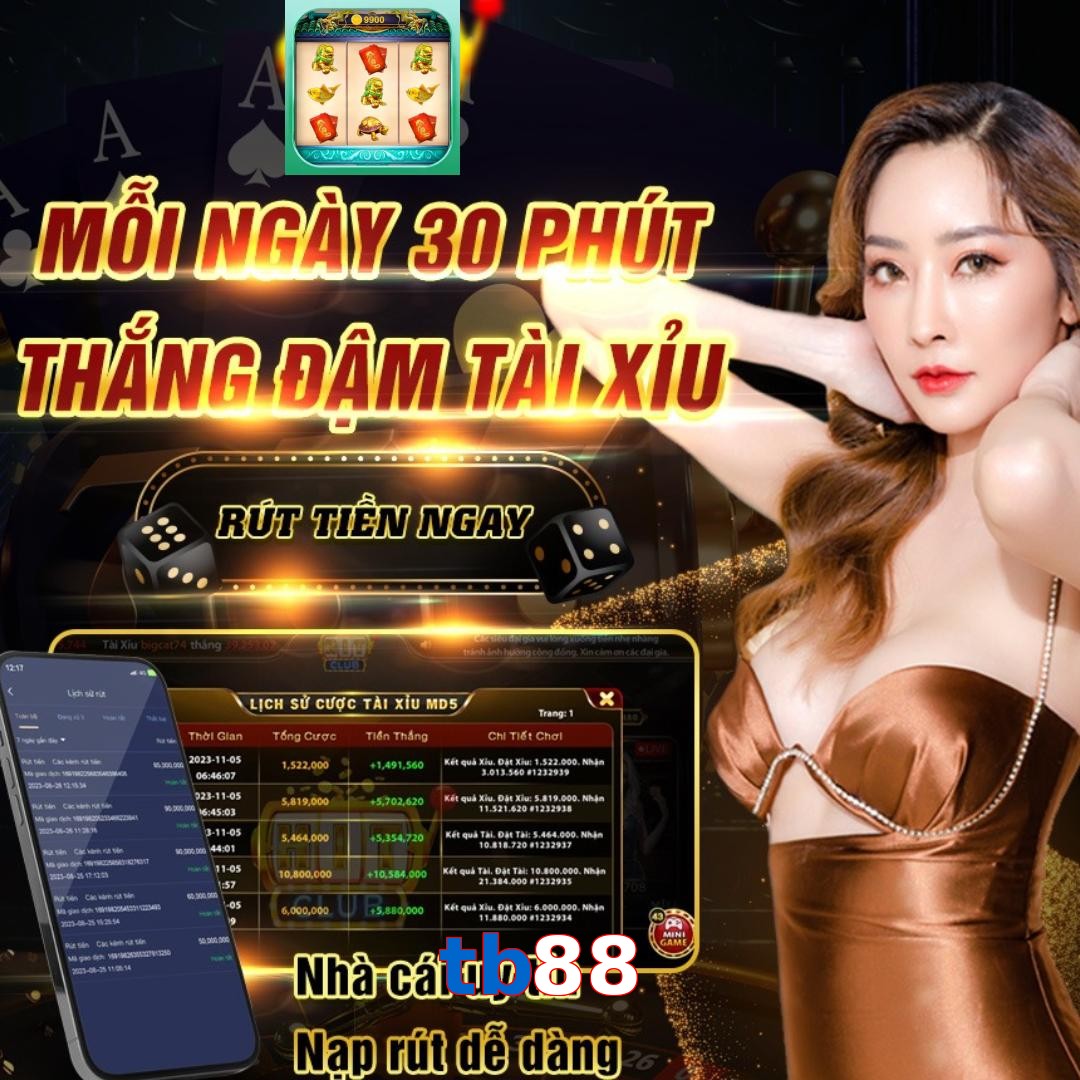 tb88